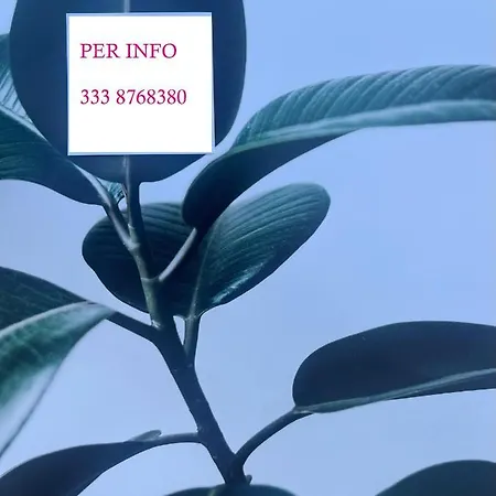 Salento Monolocale Blu Lejlighed *