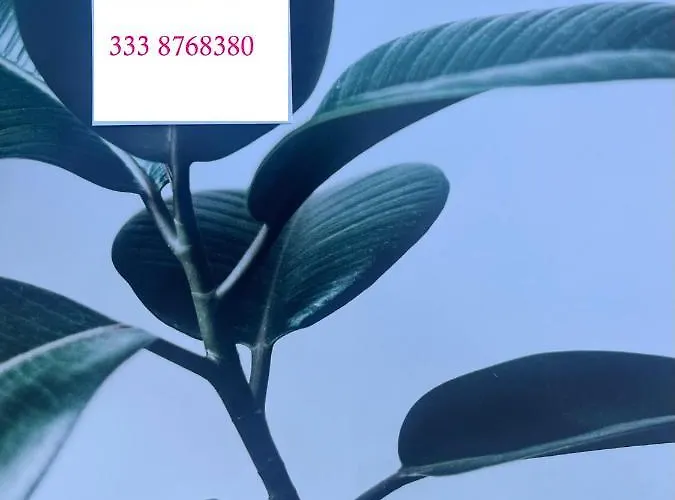 Salento Monolocale Blu Apartment *